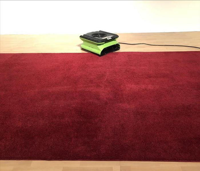 Red carpet cleaned by SERVPRO.