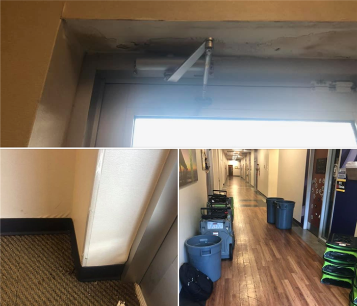 Images shows collage with water damage on door frame, drying equipment in hallway, and wet carpet.