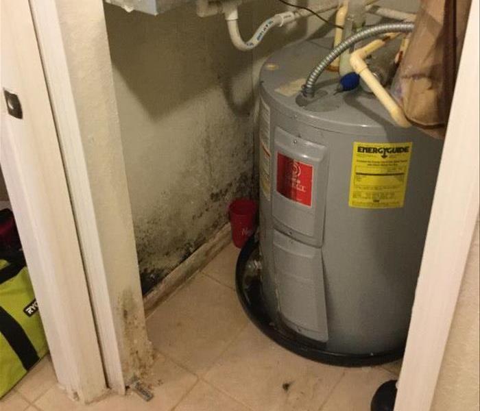 Mold has infiltrated this electrical closet.