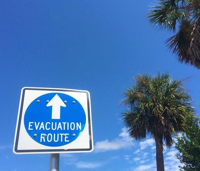 Storm Evacuation Sign with Palm Trees in Background