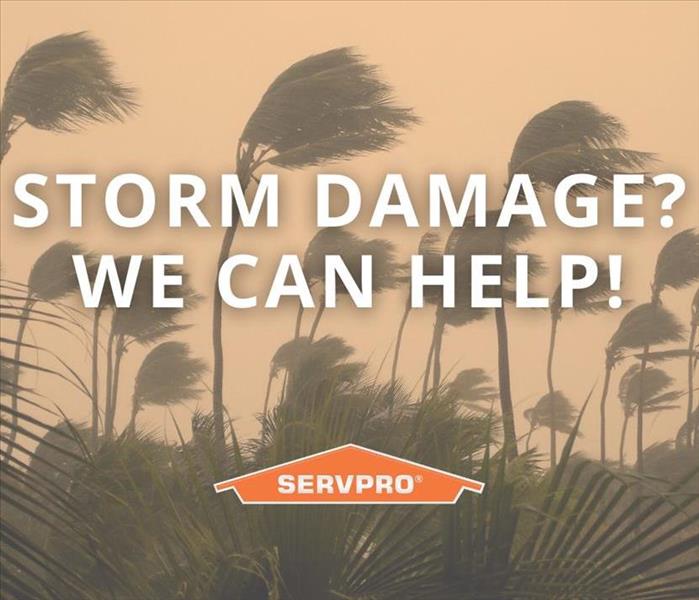 Trees Blowing in a Storm with the Words Storm Damage We Can Help Overlayed